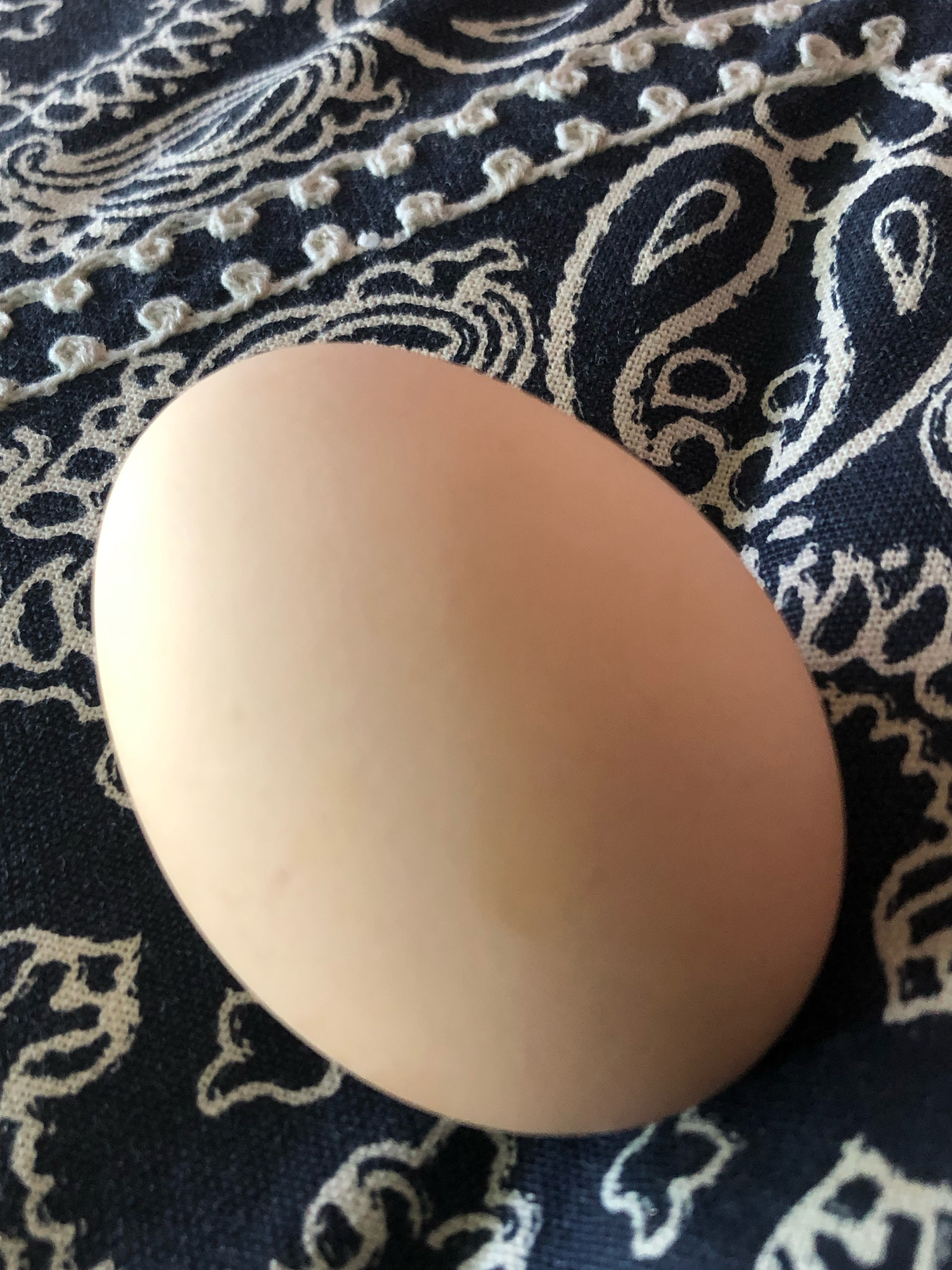 easter egg