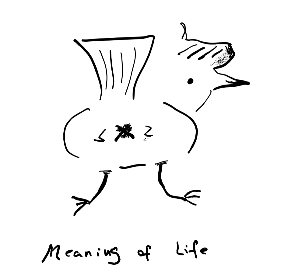 meaningoflife_smallsqure.png